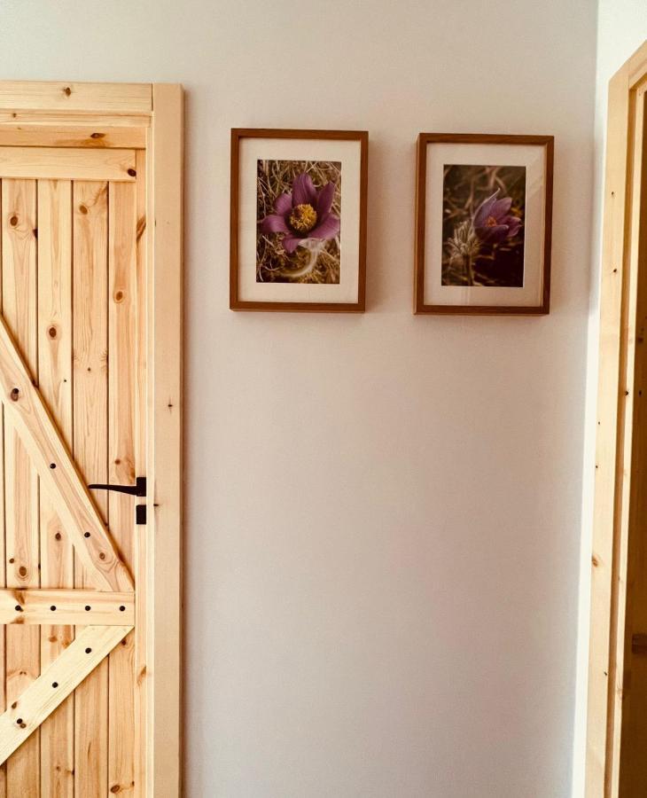 Sasanka - Gorski Apartament Z Ogrodkiem Закопане Екстер'єр фото